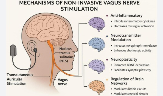 Thumbnail: Safety and tolerability meta-analysis
